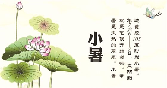 "二十四节气61夏"之小暑