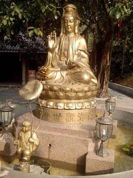 《痴情换深情》主播照片