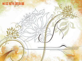 软件教学主播照片