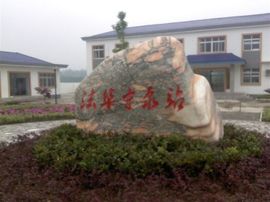 jianglin96主播照片