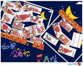 一只小安可主播照片
