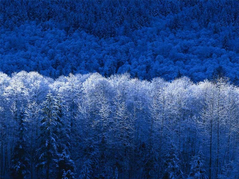 香薷雪人的主播照片