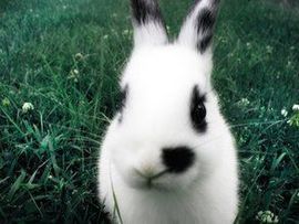 花季女孩521主播照片