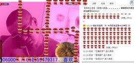 尛悡❤尊师阿闹主播照片