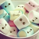 ⌒﹀⌒❤安安❤