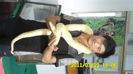 飛鹰[520]主播照片