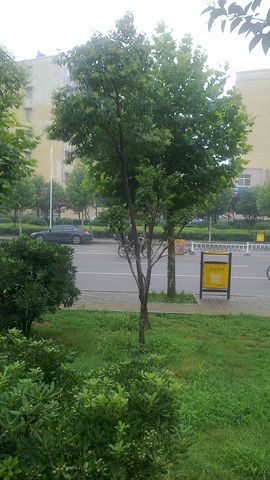 《牛哥》主播照片