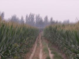 济世活人主播照片