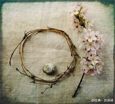 ★﹍゛愛我所愛♂的主播照片
