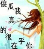相遇未来可期的图片