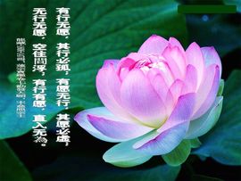 阿弥陀佛!主播照片