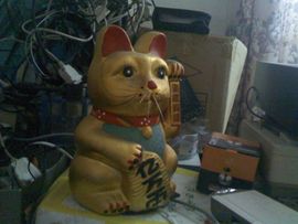 jam双龙hu主播照片