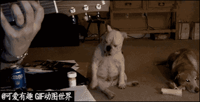 ~~~~~~木子的主播照片