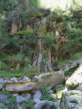 ╭❤～天❤赐主播照片