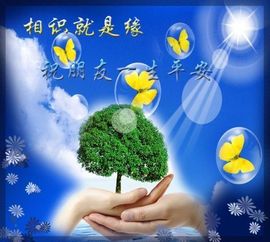为谁穿婚纱主播照片