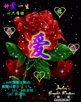 雄鹰*翱翔主播照片