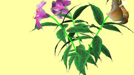 baihe主播照片