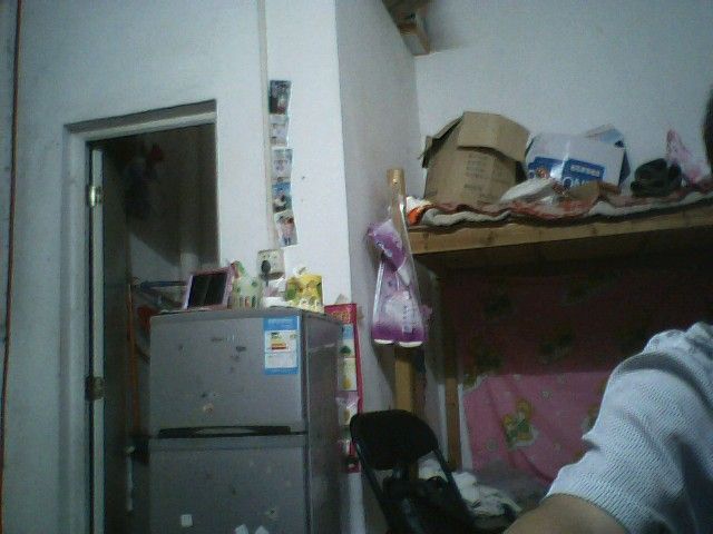 月红2012主播照片