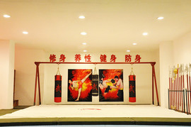 东营武术、圣龙武术主播照片