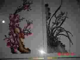 天问己，几多伤离愁主播照片