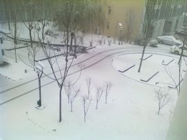 一毛不拔大师主播照片