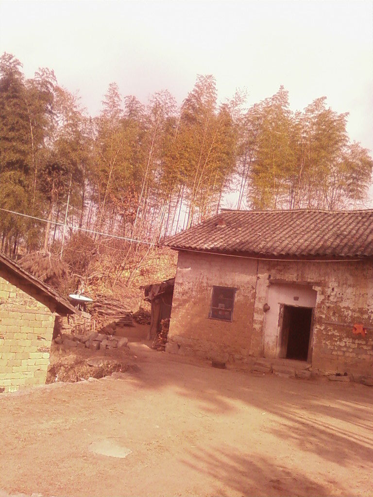 1628383138的主播照片