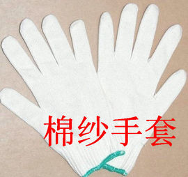 手套图样主播照片