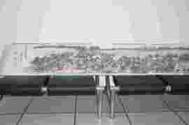 古画王子主播照片