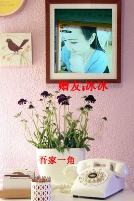 愚诗园9cgmnp主播照片