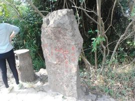 现周少爷007主播照片