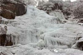 云雾山里茶飘香主播照片