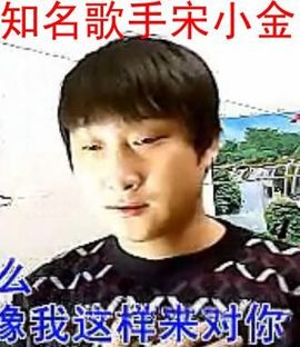 邓紫棋宋小金主播照片