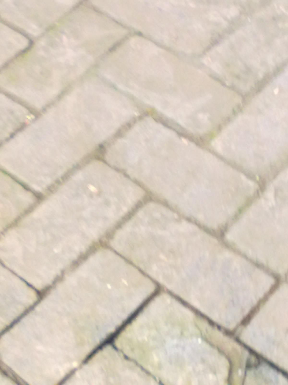 震予心主播照片