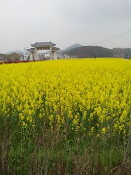 缘◕�‿◕ヘ安妮主播照片