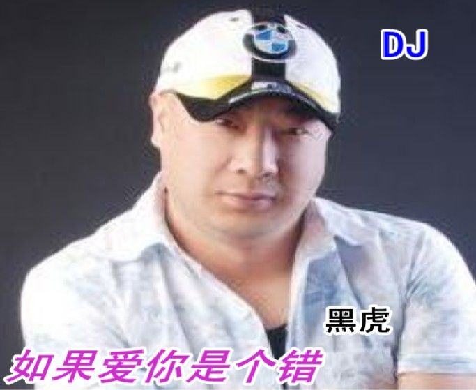 DJ阿岳主播照片