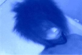 ╰✿流年┈━═☆主播照片