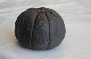 茶僧1的主播照片