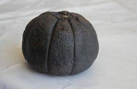 茶僧1主播照片