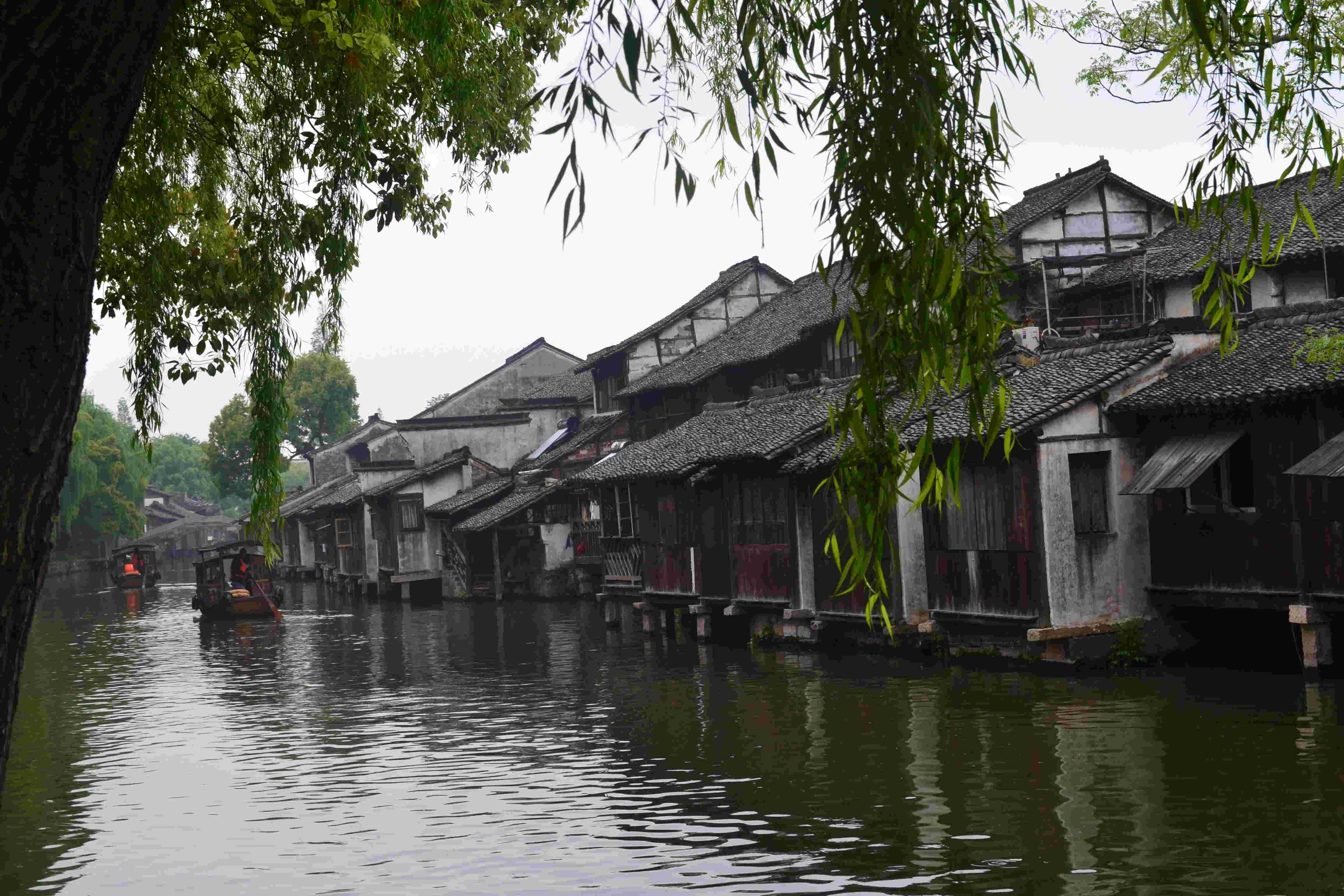 雨雾中的海的主播照片