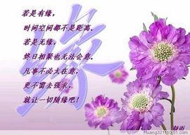 无轨列车主播照片