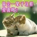 ⑥๑۩情意花心۩๑