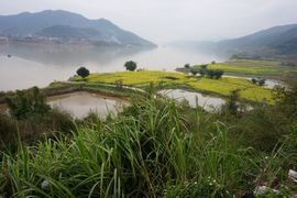企鹅心主播照片