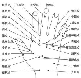 石头1126主播照片