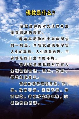 修清净平等觉主播照片