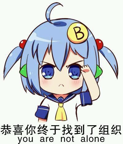 習慣有妮的图片