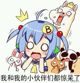 習慣有妮主播照片