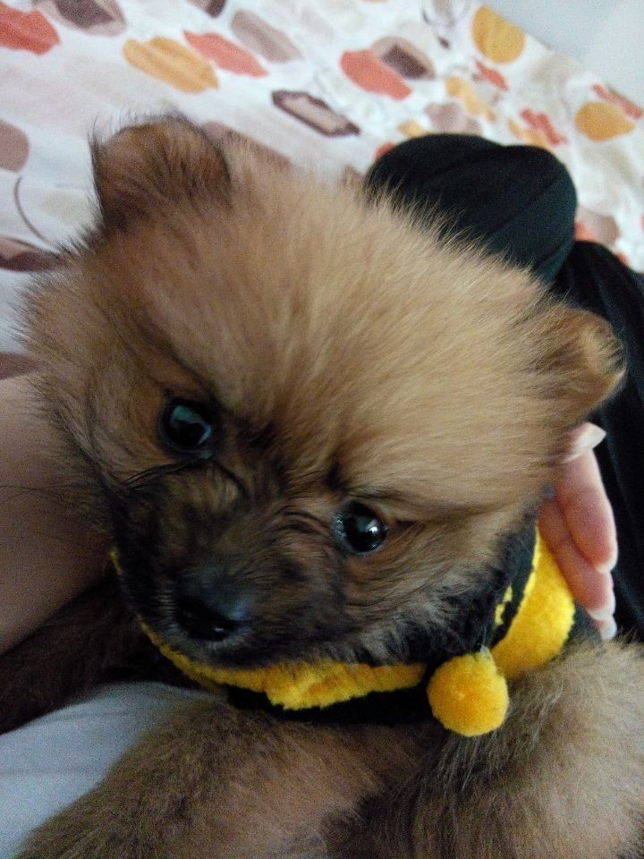 1525363592的主播照片