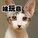 观我动态总会有些收获主播照片