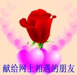 【做好自己】主播照片