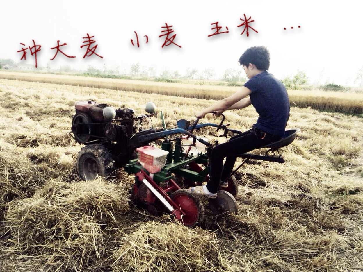 ゞ.苦瓜ゞ.的主播照片